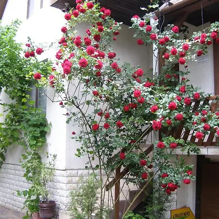 Nadas Apartmanhaz